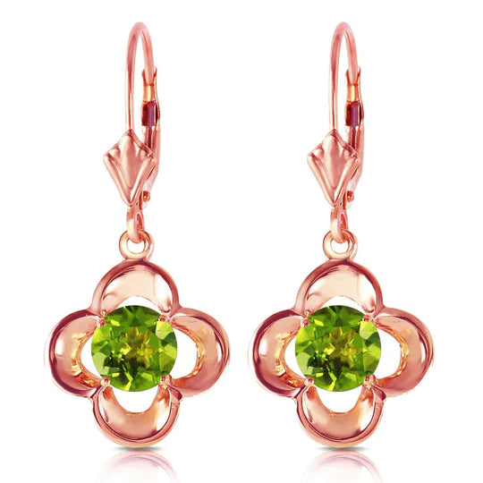Gold Leverback Earrings
