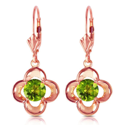 Gold Leverback Earrings