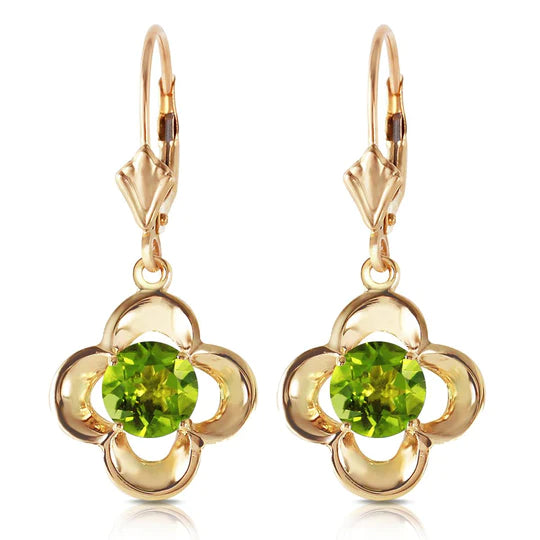 Gold Leverback Earrings