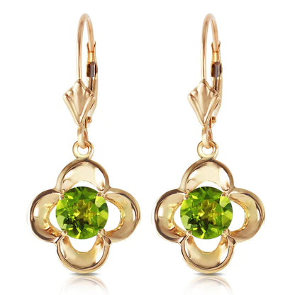 Gold Leverback Earrings