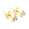 Charm Diamond Earrings